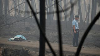 "Inferno" de Pedrógão: Mortos ascendem aos 62 e motivam 3 dias de luto nacional