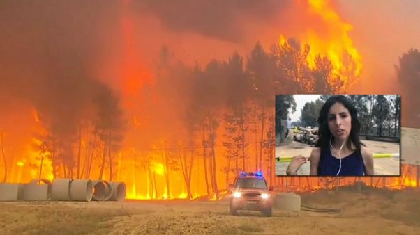 Portugal: Situation im Waldbrandgebiet immer noch schwierig Portugal: Situation im Waldbrandgebiet immer noch schwierig