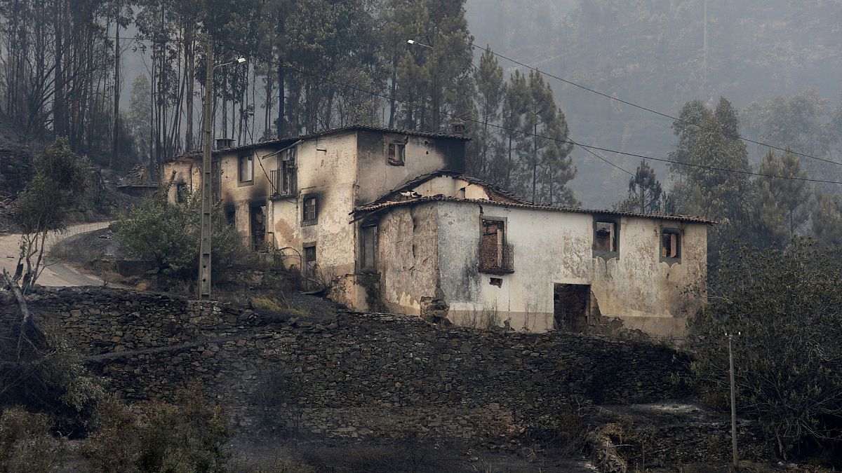 Verheerende Waldbrände in Zentralportugal