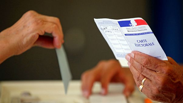 Los partidos de la oposición en la Asamblea francesa Los partidos de la oposición en la Asamblea francesa