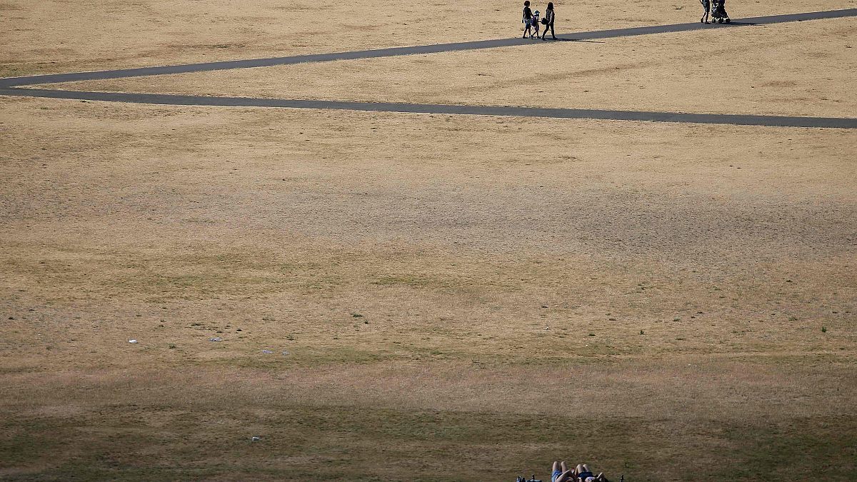 Image: Visitors to Greenwich Park walk on the footpaths in between the dry 