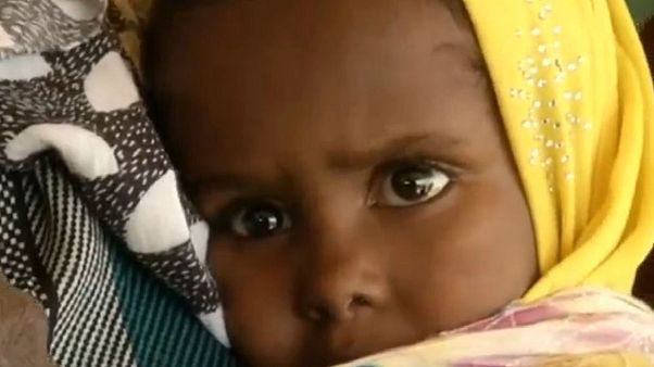 90 millió fontos segély Kelet-Afrikának az éhínség leküzdésére 90 millió fontos segély Kelet-Afrikának az éhínség leküzdésére
