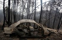 Portugal: Temperaturas elevadas travam combate às chamas