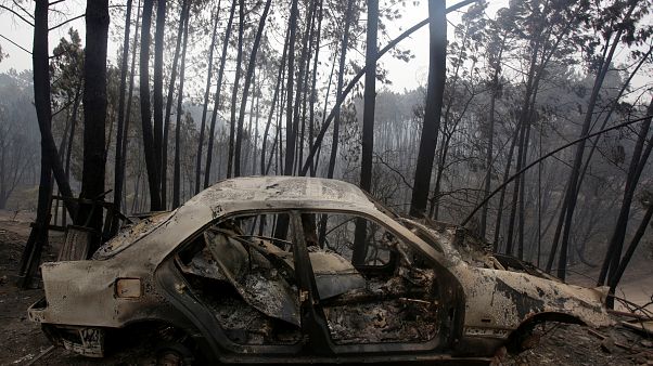 Portugal: Temperaturas elevadas travam combate às chamas Portugal: Temperaturas elevadas travam combate às chamas
