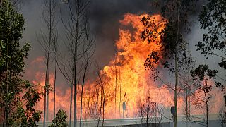 آتش سوزی مرگبار پرتغال؛ ۱۲ نفر در داخل تانکر آب زنده ماندند