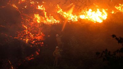 Portugal: Waldbrände wüten, Opferzahl steigt