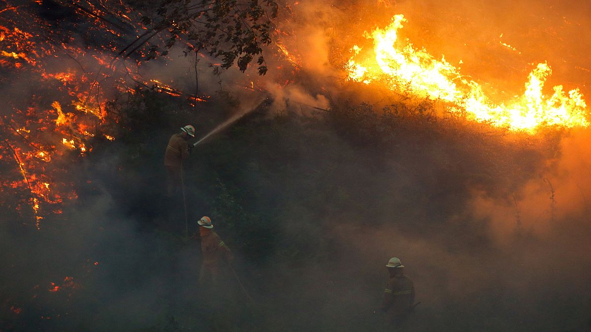 شاهد: صور ملتقطة عن طريق طائرة بدون طيار في البرتغال لضحايا الحرائق المهولة التي تشهدها البلاد