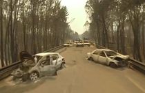 تصاویر یک پهپاد از ویرانی‌های آتش‌سوزی در جنگل‌های پرتغال
