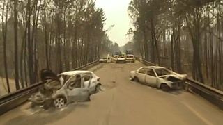 تصاویر یک پهپاد از ویرانی‌های آتش‌سوزی در جنگل‌های پرتغال