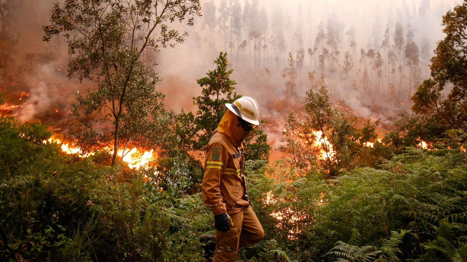 ¿Por qué arde Portugal?