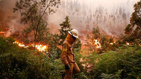 ¿Por qué arde Portugal? ¿Por qué arde Portugal?