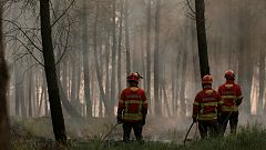 Incêndios em Portugal: Autoridades desmentem queda de avião