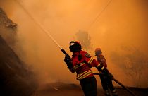 ۶۳ کشته در پی آتش سوزی در جنگل های پرتغال