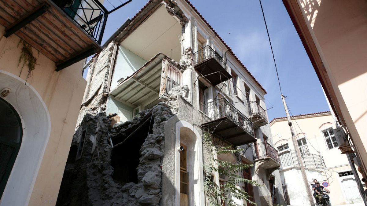 İtalya: Depremi önceden 'hissedebilecek' hayvanlar üzerindeki test çalışmalarında sona doğru