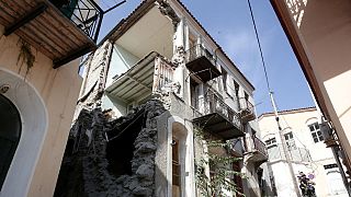 İtalya: Depremi önceden 'hissedebilecek' hayvanlar üzerindeki test çalışmalarında sona doğru