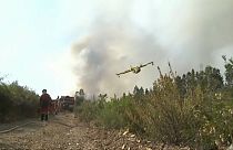 Portekiz'de yeni orman yangınları