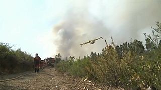 Proteção Civil desmente que avião Canadair tenha caído