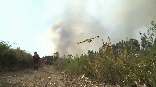 Reports of firefighting plane crash in Portugal turn out to be false Reports of firefighting plane crash in Portugal turn out to be false