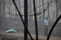 آتش‌سوزی پرتغال؛ چرا این همه تلفات در یک کشور اروپایی؟