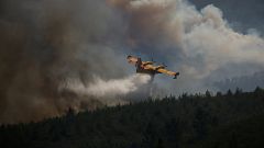 Portugal: Waldbrände lodern weiter