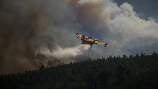 Les pompiers portugais à bout de force Les pompiers portugais à bout de force