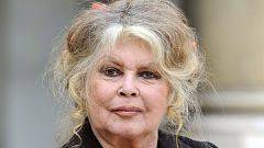 Image: Brigitte Bardot