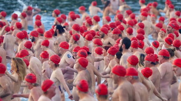 Ils se baignent nus dans les eaux de Tasmanie Ils se baignent nus dans les eaux de Tasmanie
