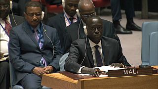 La force anti-djihadiste du G5 Sahel approuvée par l'ONU