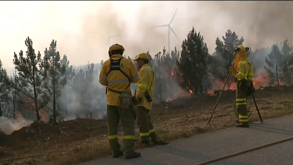 В Португалии потушили лесной пожар