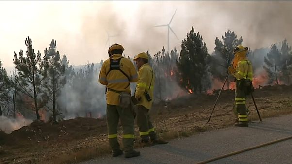 Portugal : le feu enfin vaincu Portugal : le feu enfin vaincu