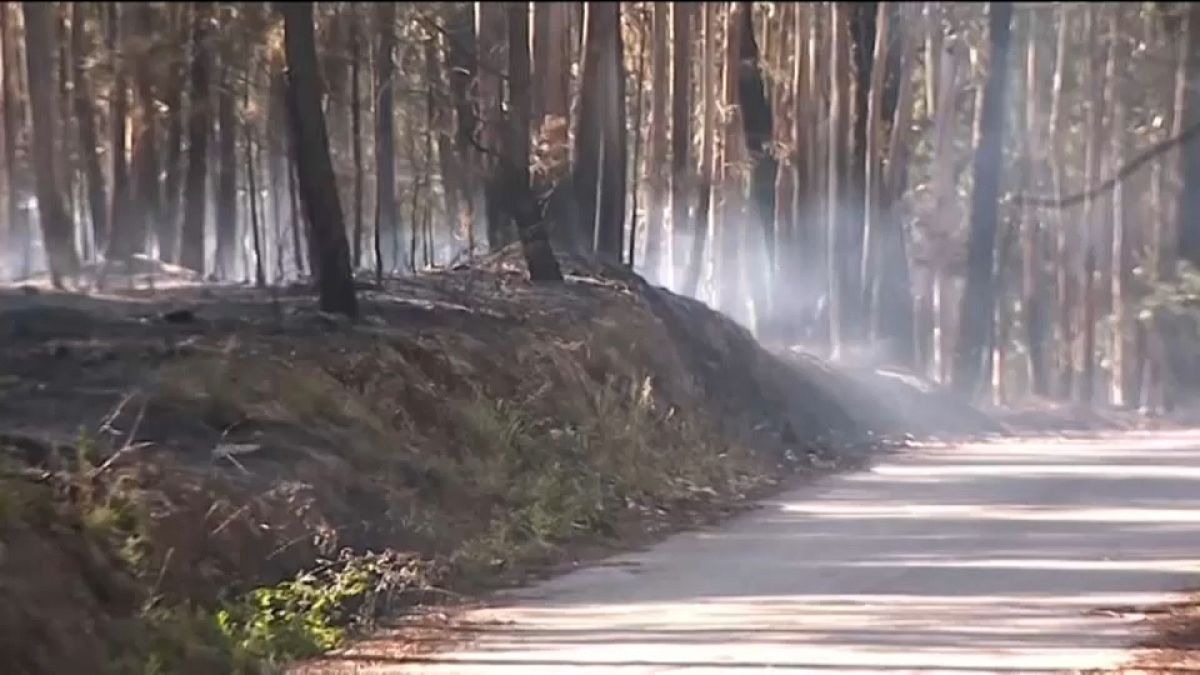 Les feux de forêt maîtrisés au Portugal