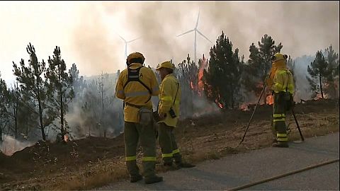 Portugal's deadly wildfire finally under control