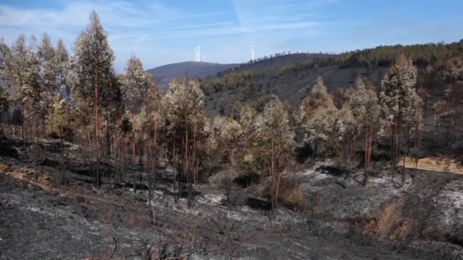 Scorched aftermath of deadly Portuguese wildfires