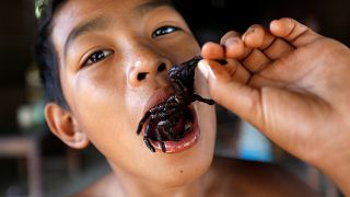 العناكب ضمن وجبات الغذاء في كمبوديا