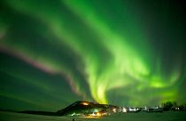 Image: Iditarod
