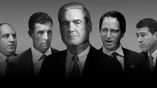 Image: Mueller team