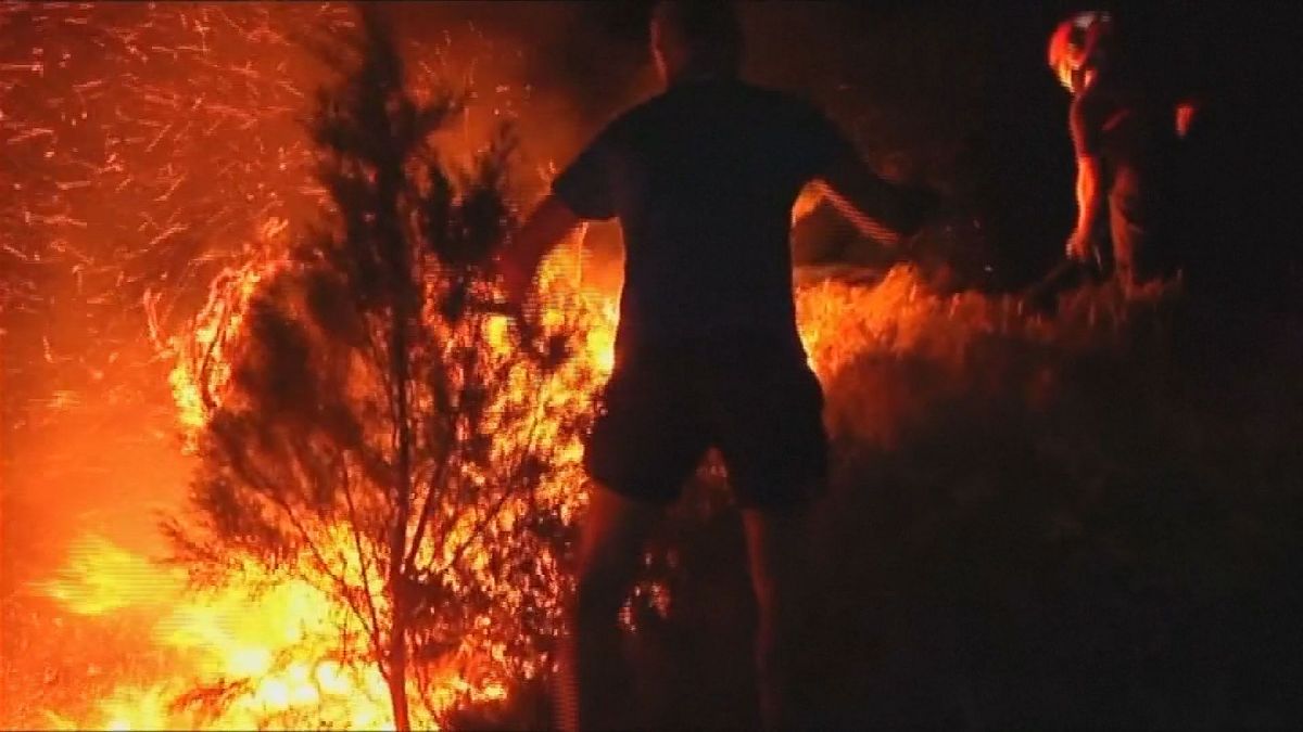 Espagne : incendie dans un parc naturel