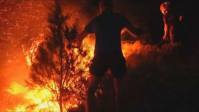 Un incendio llega al Espacio Natural de Doñana