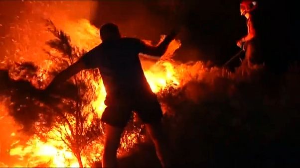 Spagna, incendi nel sud del Paese, evacuate 2000 persone Spagna, incendi nel sud del Paese, evacuate 2000 persone