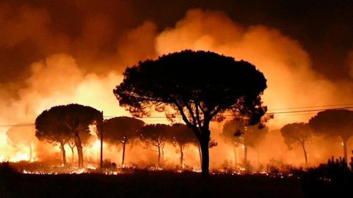 Terjed az erdőtűz Spanyolországban