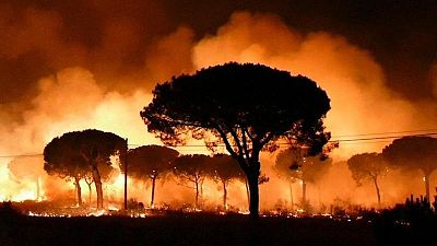 Les flammes menacent toujours le parc de Doñana