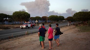 Spanish firefighters battle blaze near national park