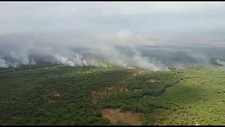 Aumentan los efectivos para combatir el incendio de Doñana