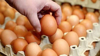 Inghilterra: il campionato del lancio delle uova