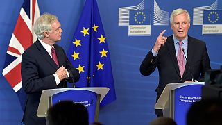 EU's Barnier cool on PM May's offer for expats
