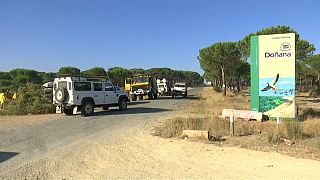 Doñana se salva de las llamas