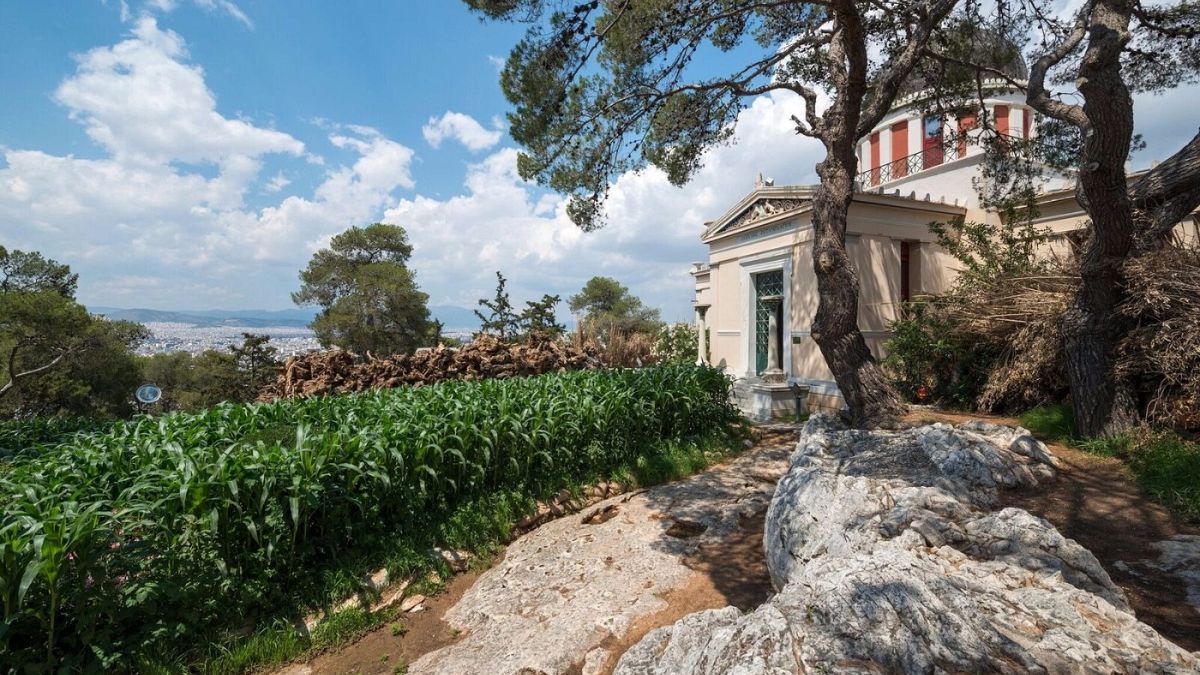 «Ζούγκλα» έγινε το Εθνικό Αστεροσκοπείο Αθηνών