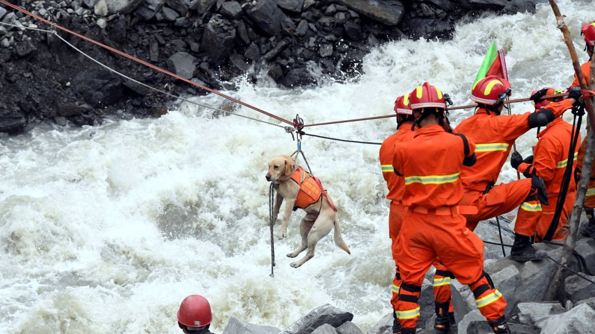 Sniffer dogs join search for missing in China landslide