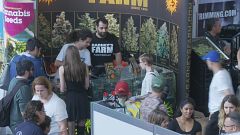 Boom der Marihuana-Industrie in Europa