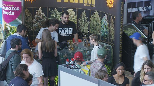 How start-ups in Germany are turning to weed How start-ups in Germany are turning to weed